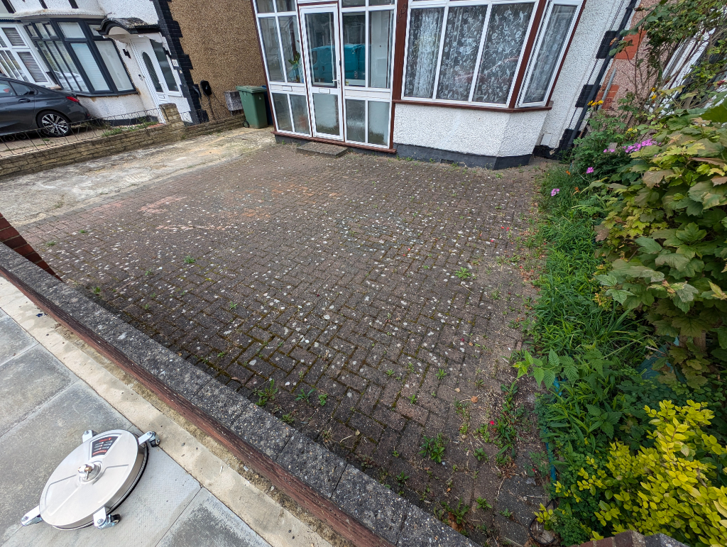 Before cleaning - driveway1