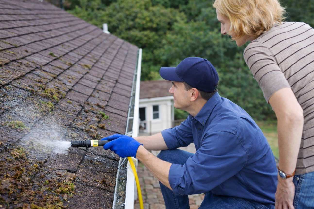 Roof and gutter cleaning