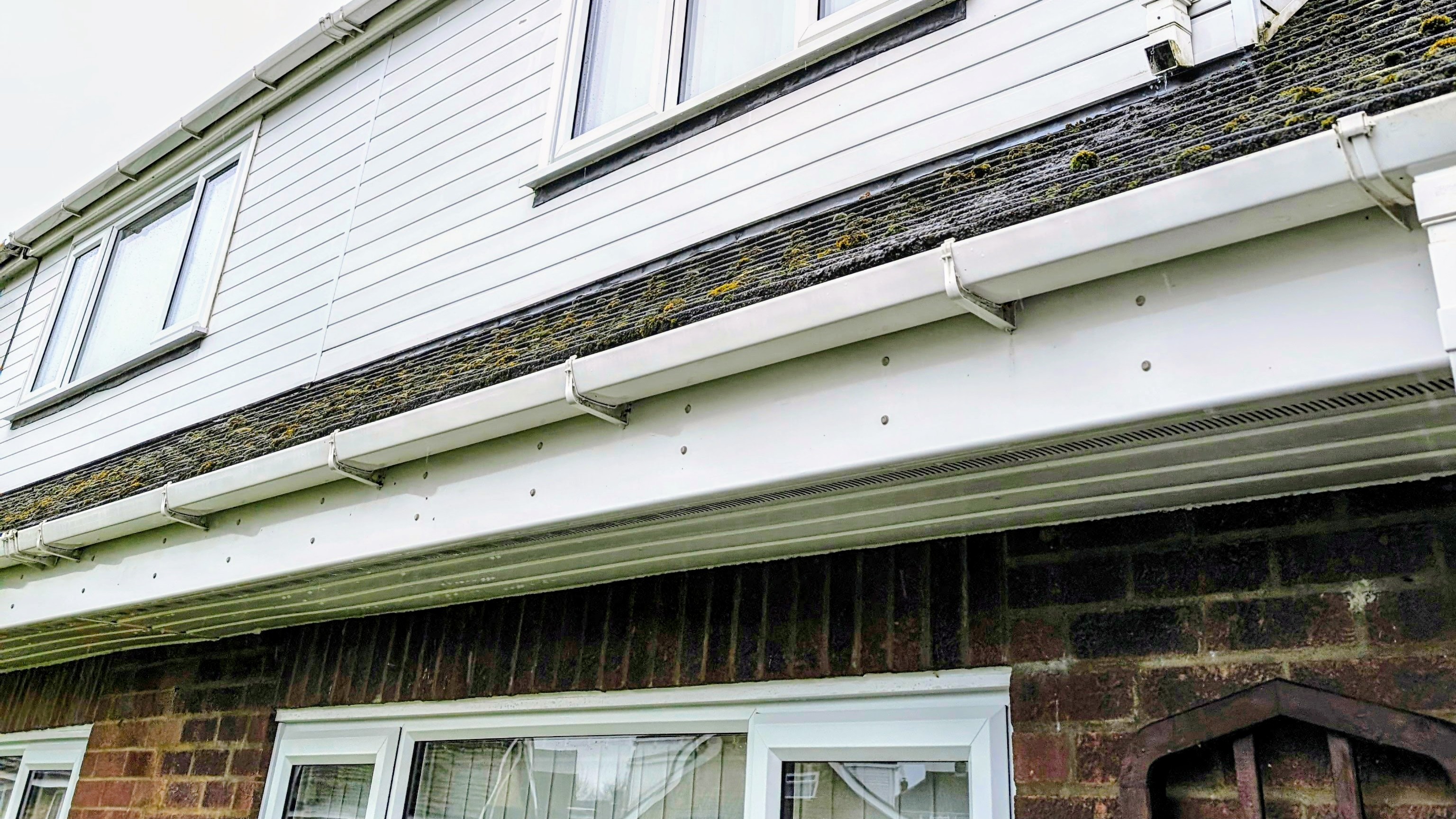 After cleaning - fascia